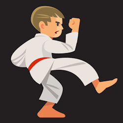 Karate Moves Karate